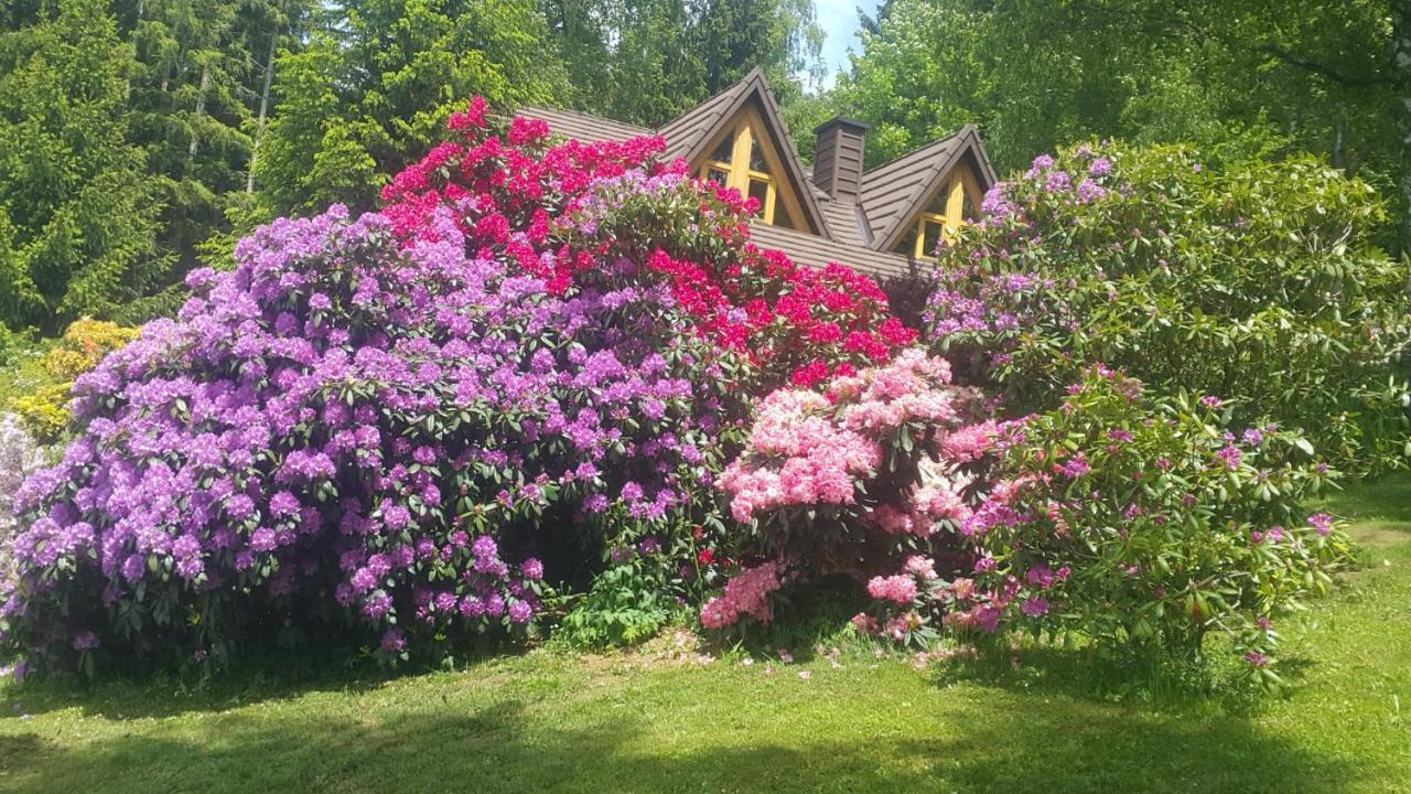 Chalet Bellevue Rogla 茨热塞 外观 照片