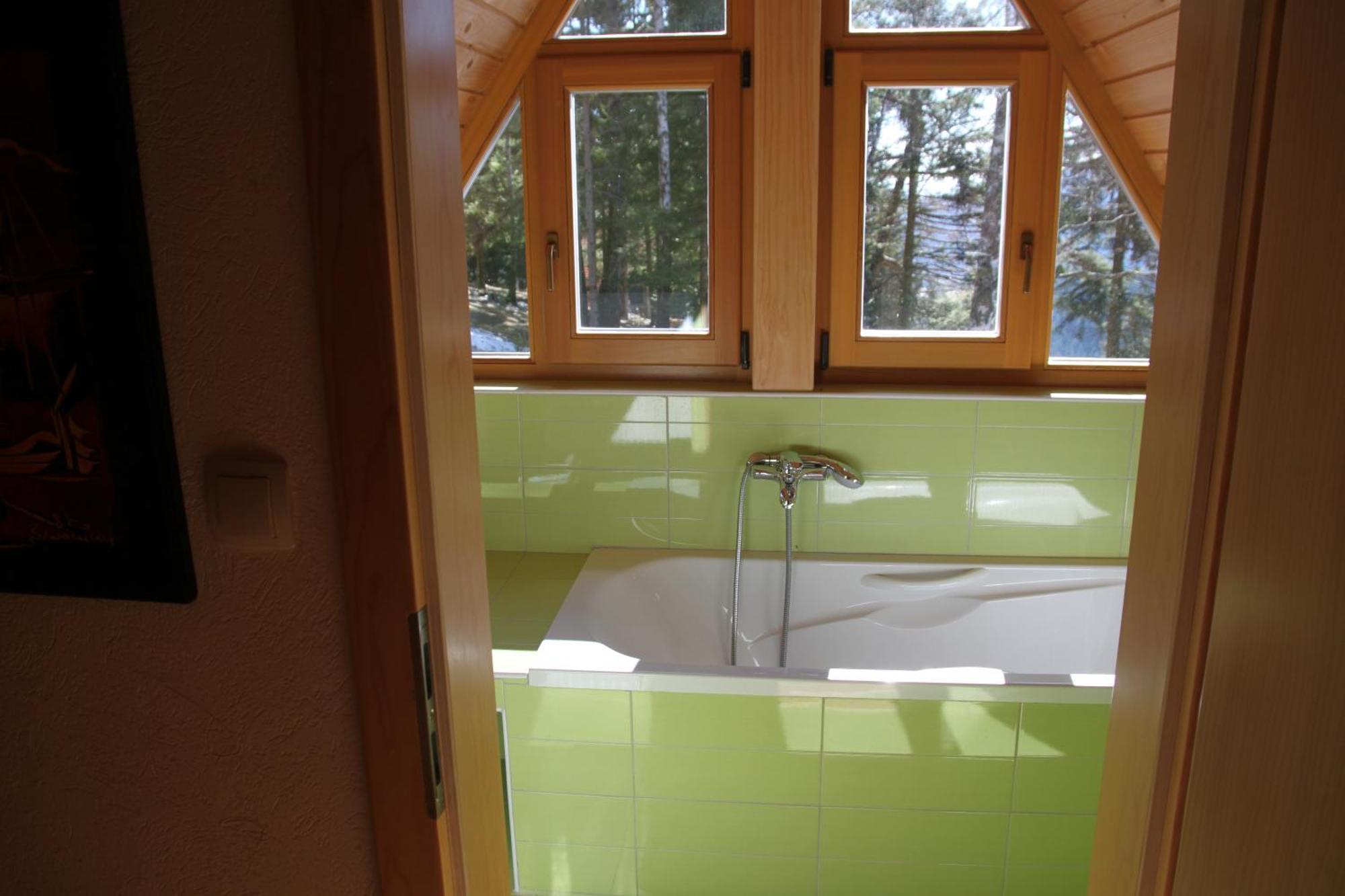 Chalet Bellevue Rogla 茨热塞 外观 照片