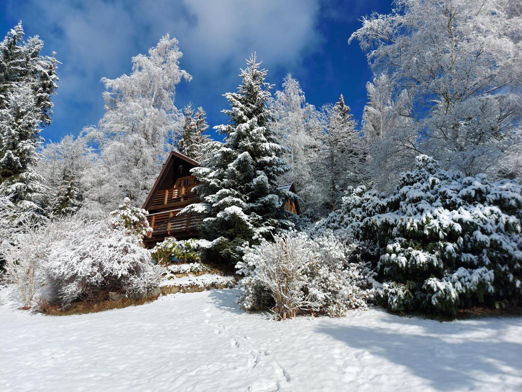 Chalet Bellevue Rogla 茨热塞 外观 照片